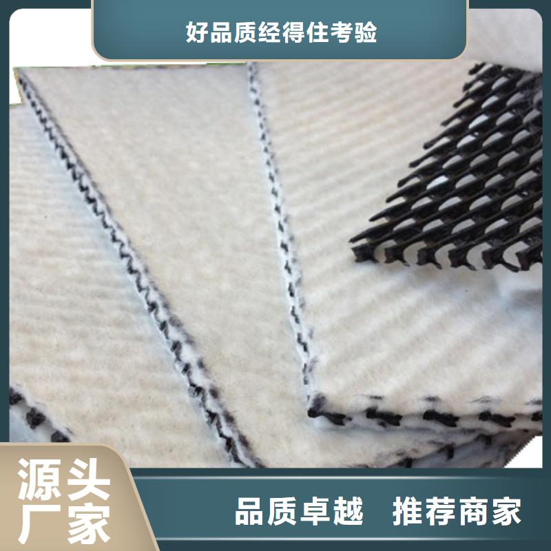 三維復(fù)合排水網(wǎng)PP焊接土工格柵產(chǎn)地源頭好貨