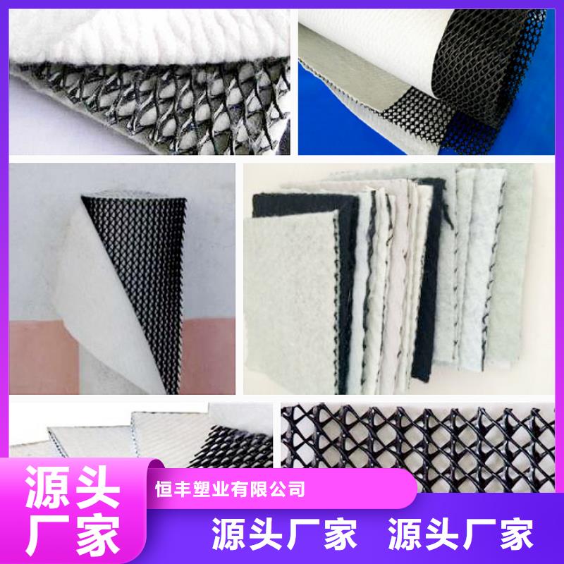 三维复合排水网-防渗膜批发货源