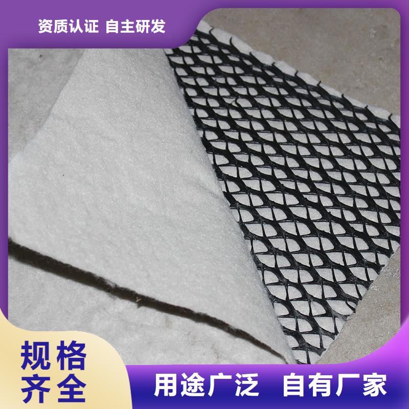 三維復(fù)合排水網(wǎng)PVC防水卷材工廠批發(fā)