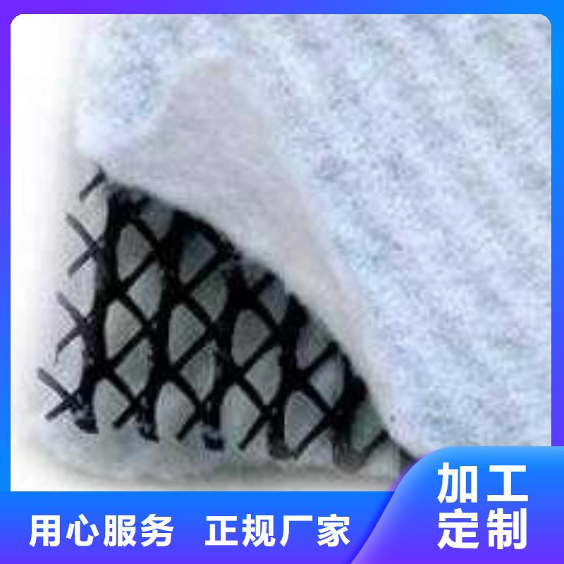 三维复合排水网单向塑料土工格栅满足多种行业需求