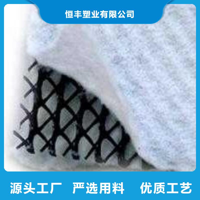 三维复合排水网-防渗膜批发货源