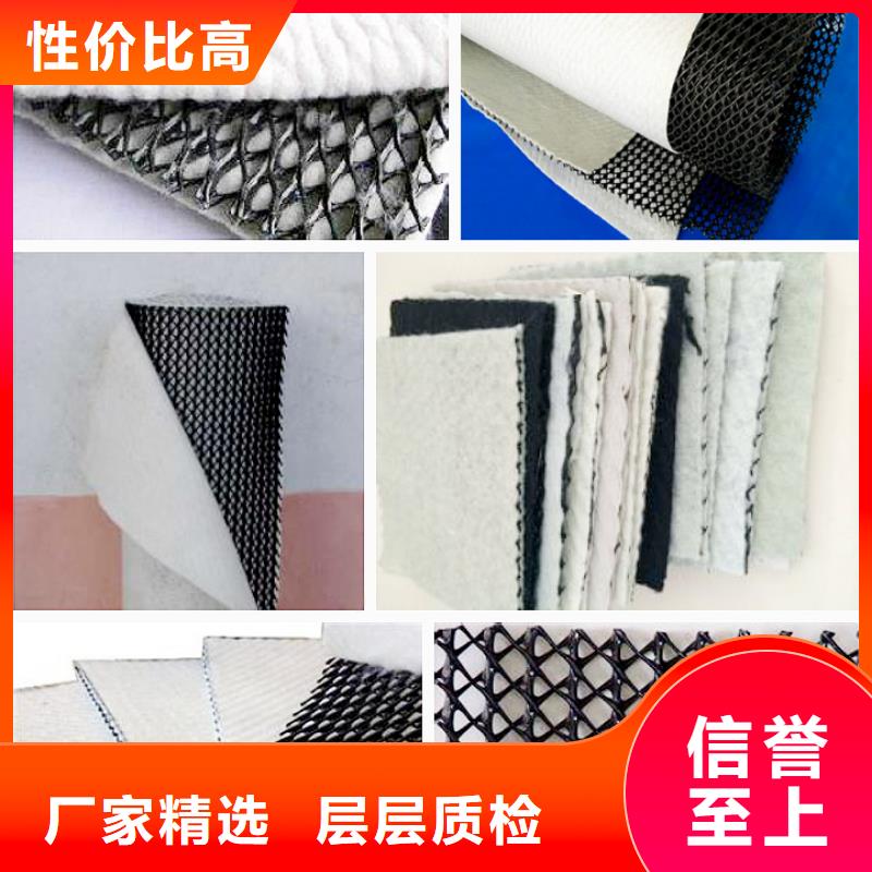 三维复合排水网PP焊接土工格栅产地源头好货