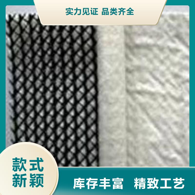 三维复合排水网单向塑料土工格栅满足多种行业需求