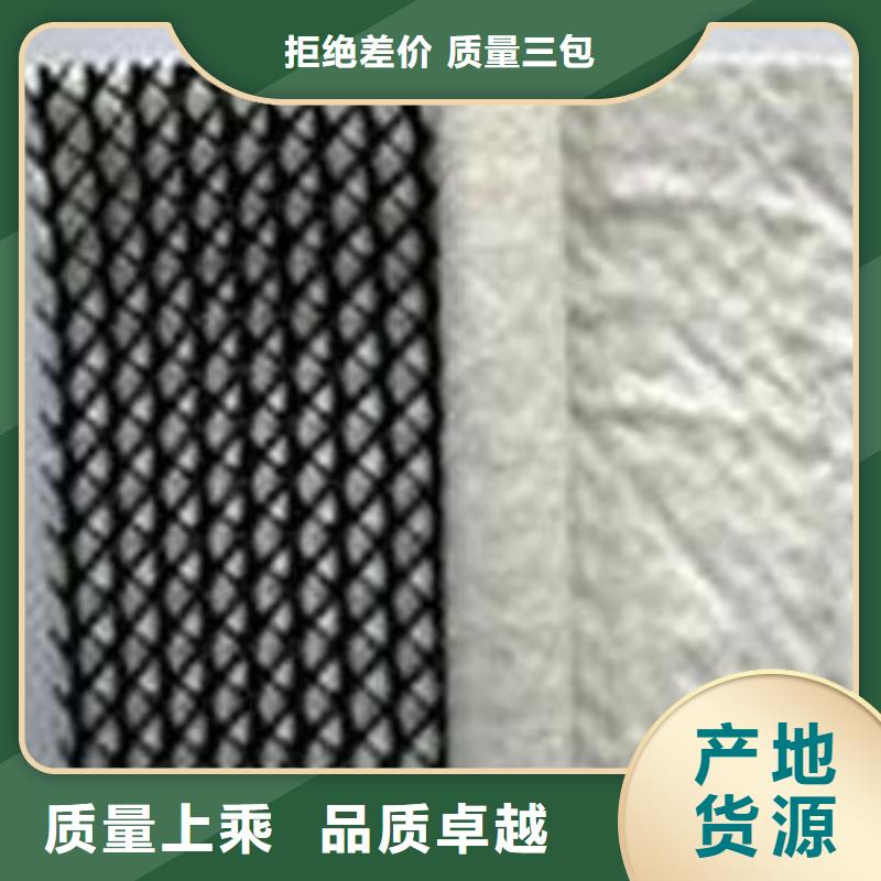 三维复合排水网_土工格室工程施工案例
