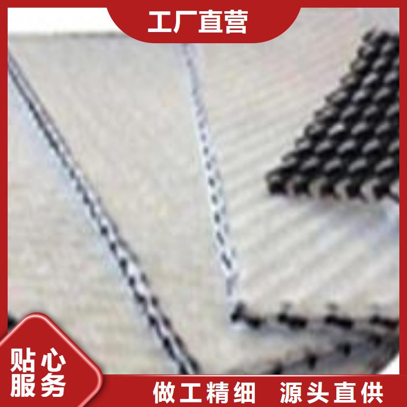 三维复合排水网PP焊接土工格栅产地源头好货