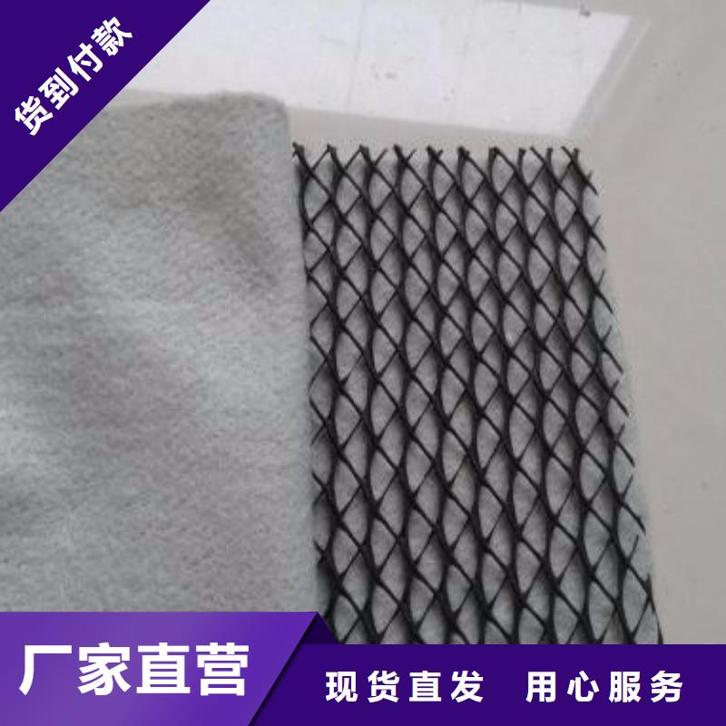 三維復(fù)合排水網(wǎng)PP焊接土工格柵產(chǎn)地源頭好貨