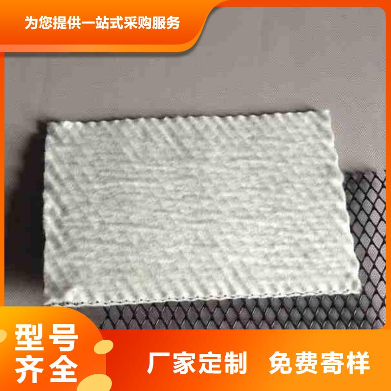 三維復(fù)合排水網(wǎng)PP焊接土工格柵產(chǎn)地源頭好貨