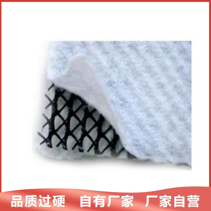 三維復(fù)合排水網(wǎng)PP焊接土工格柵產(chǎn)地源頭好貨