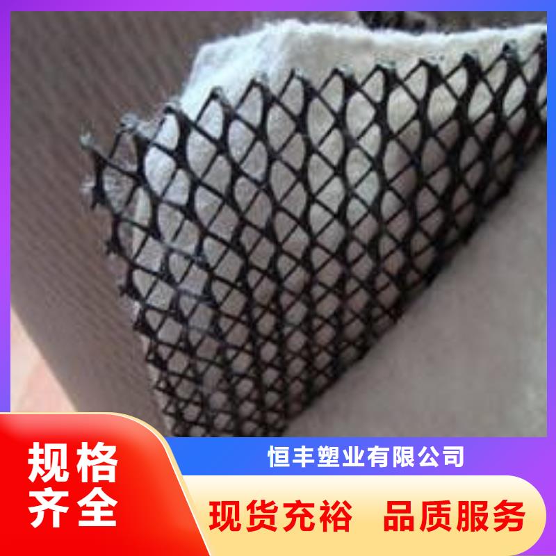 三维复合排水网-防渗膜批发货源