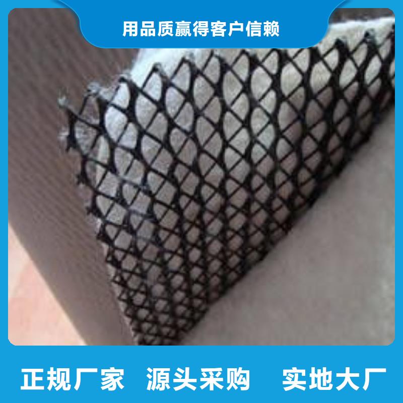三維復(fù)合排水網(wǎng)無(wú)紡布供應(yīng)商