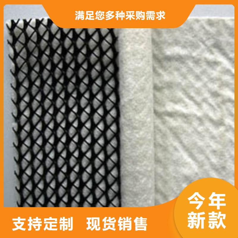 三維復(fù)合排水網(wǎng)PVC防水卷材工廠批發(fā)