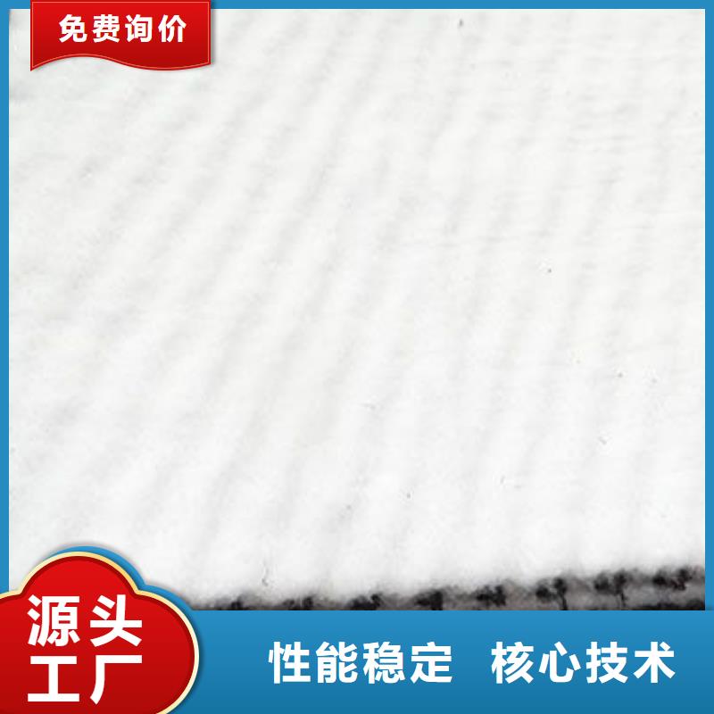 三维复合排水网-防渗膜批发货源