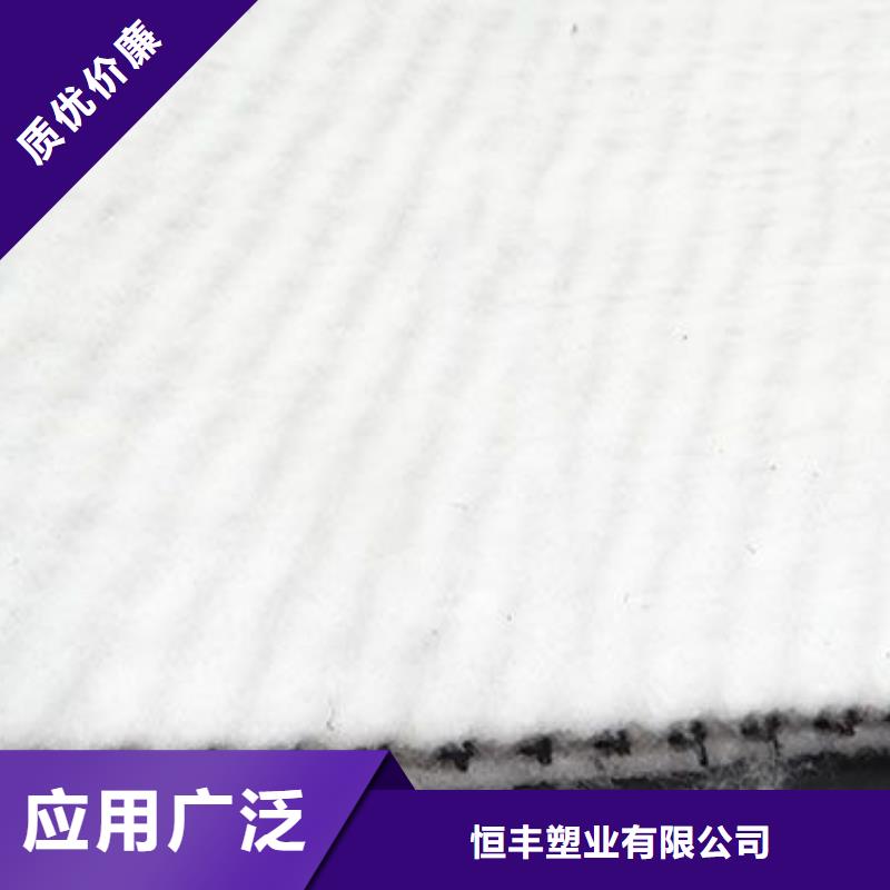 三維復(fù)合排水網(wǎng)PVC防水卷材工廠批發(fā)