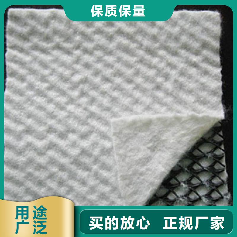 三維復(fù)合排水網(wǎng)PP焊接土工格柵產(chǎn)地源頭好貨