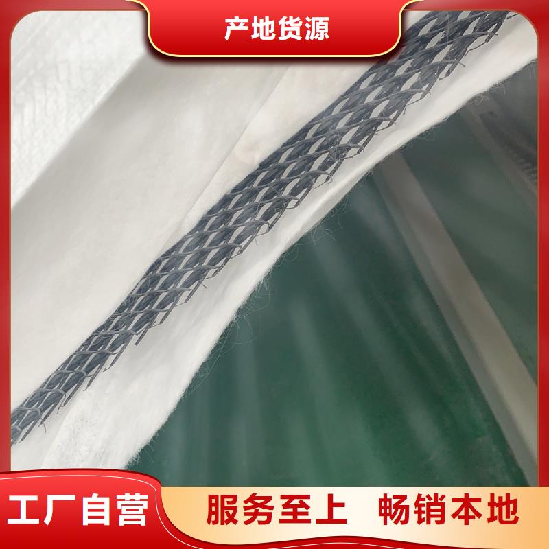 三維復(fù)合排水網(wǎng)PVC防水卷材工廠批發(fā)