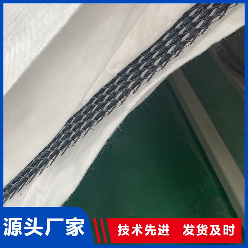 三維復(fù)合排水網(wǎng)無(wú)紡布供應(yīng)商