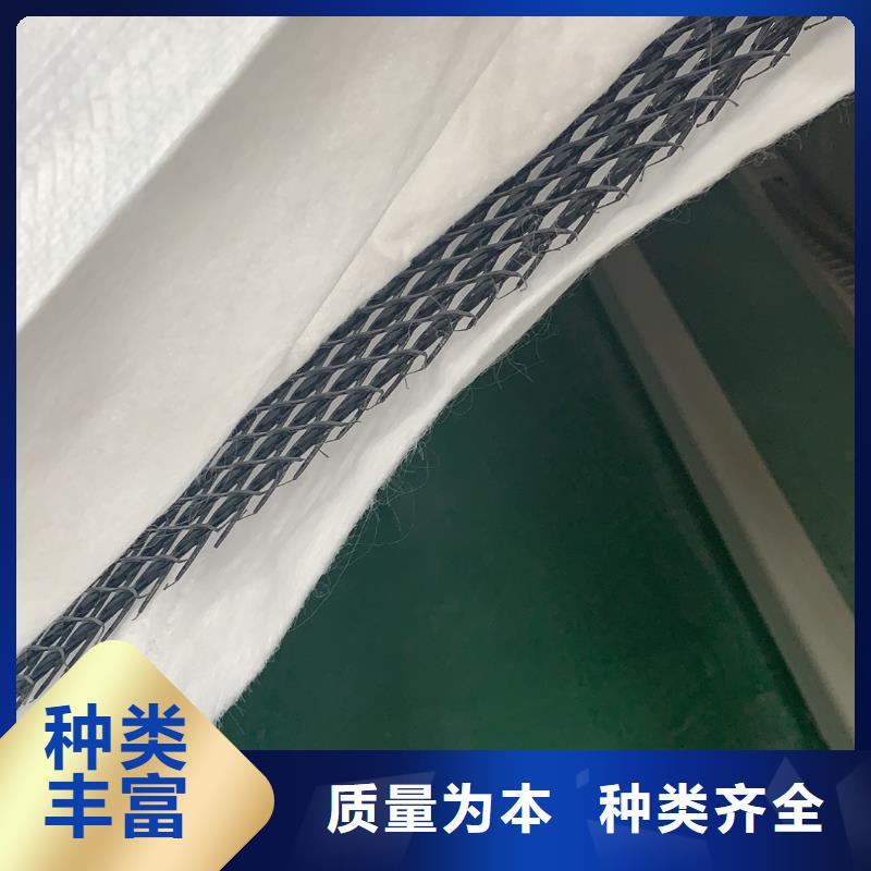 三维复合排水网_土工格室工程施工案例