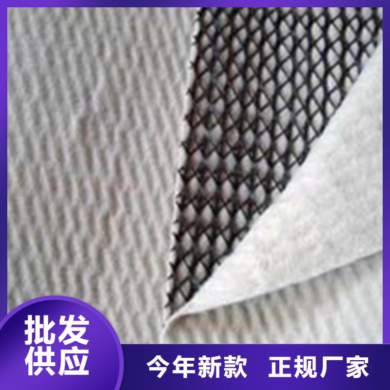 三維復(fù)合排水網(wǎng)PP焊接土工格柵產(chǎn)地源頭好貨