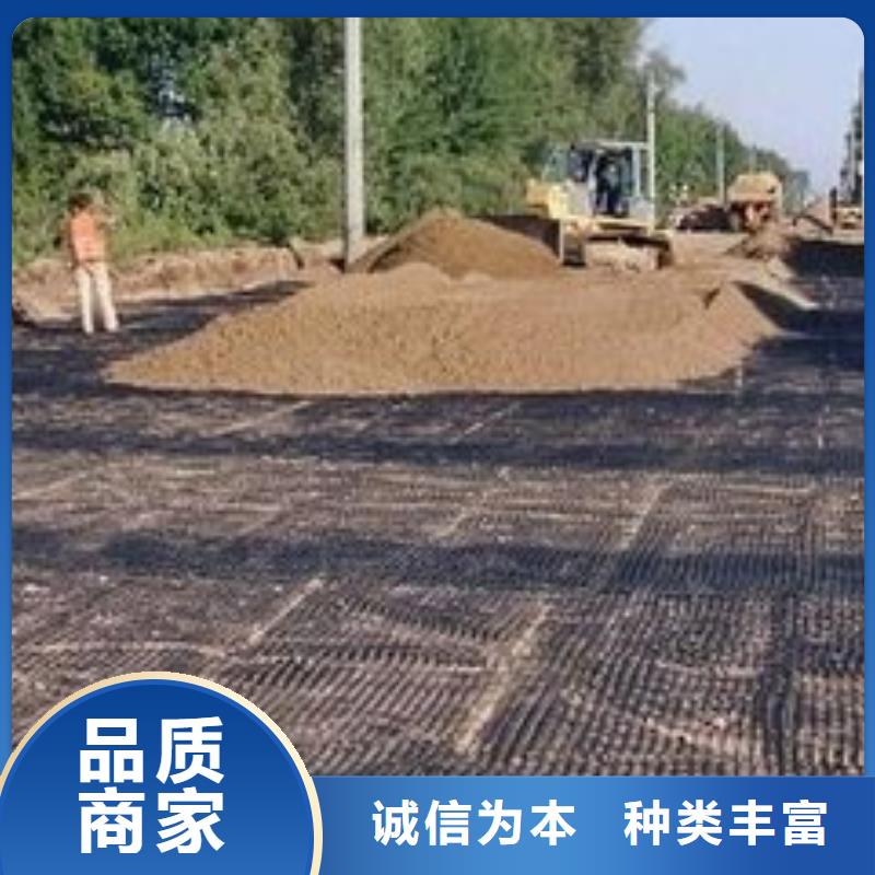 pp焊接土工格柵鋼塑土工格柵多行業(yè)適用