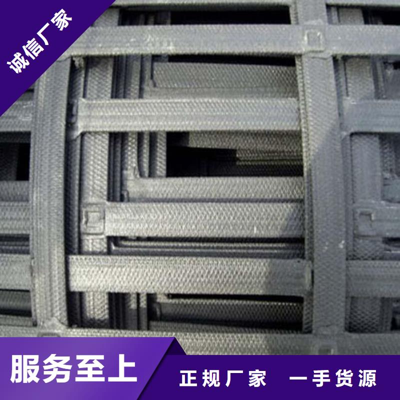 鋼塑土工格柵-防水土工布做工細(xì)致