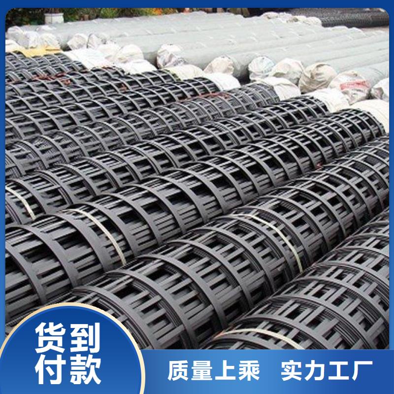 2025高強加筋鋼塑土工格柵規(guī)格型號齊全-可定制