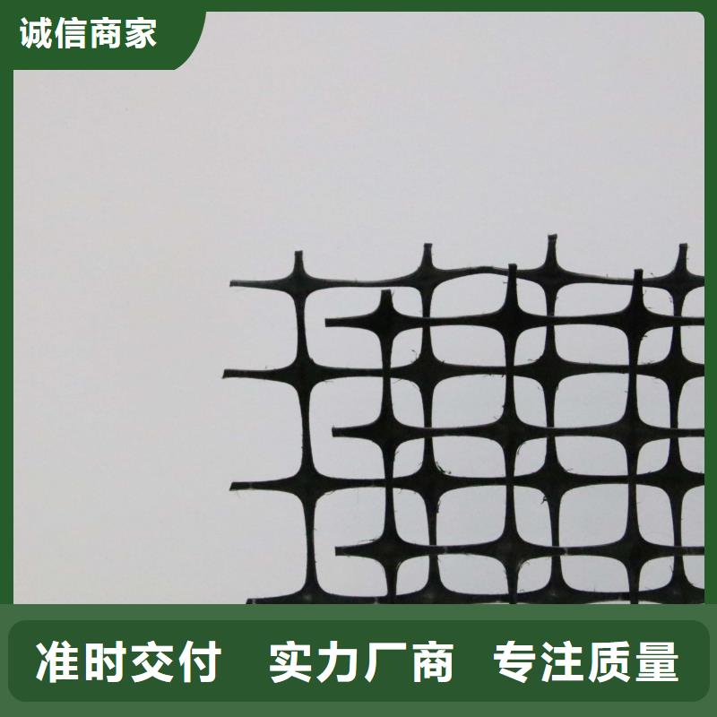塑料土工格栅三维土工网垫免费询价