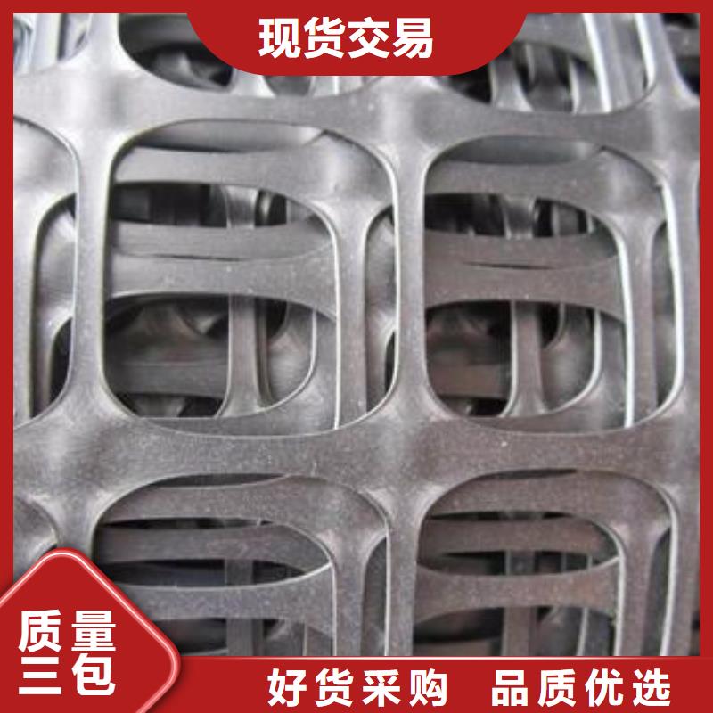 塑料土工格栅玻纤土工格栅厂家