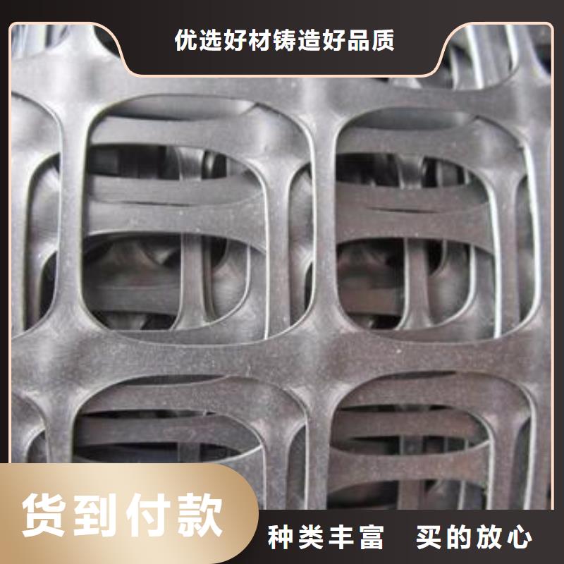 塑料土工格柵_(tái)凸結(jié)點(diǎn)鋼塑土工格柵今年新款