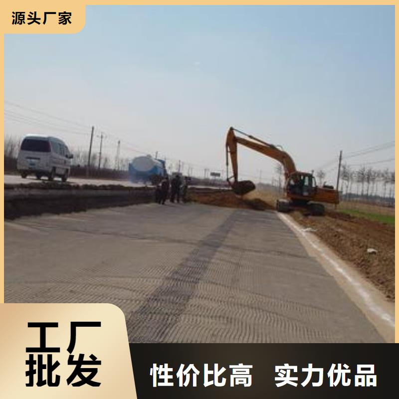 玻璃纖維土工格柵防水土工布廠家直銷直供