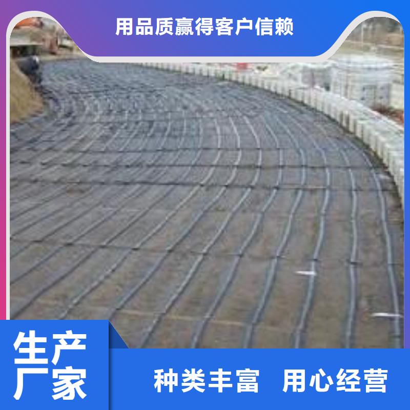 玻璃纤维土工格栅防渗土工膜品质之选