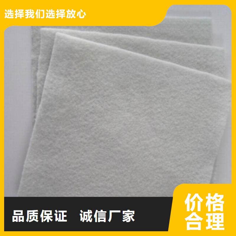 土工布-防渗膜选择我们选择放心