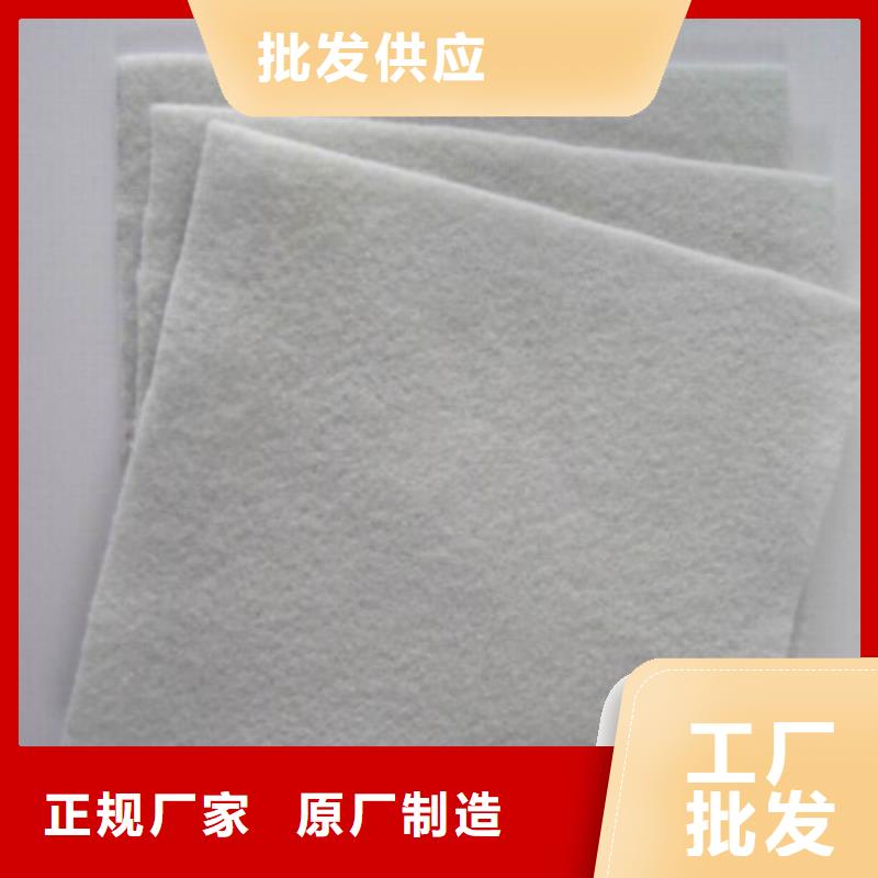 土工布,涤纶土工格栅品牌专营