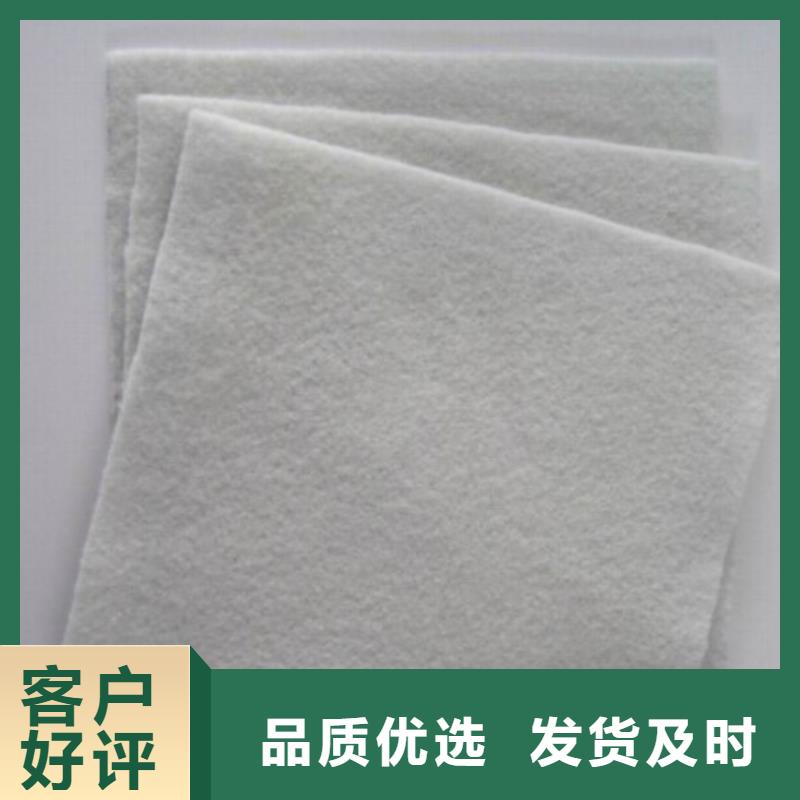 土工布滌綸土工格柵隨心所欲定制