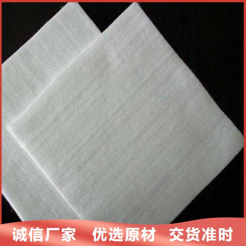 土工布滌綸土工格柵量大從優(yōu)