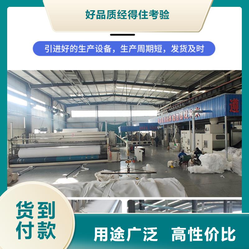 土工布滌綸土工格柵量大從優(yōu)