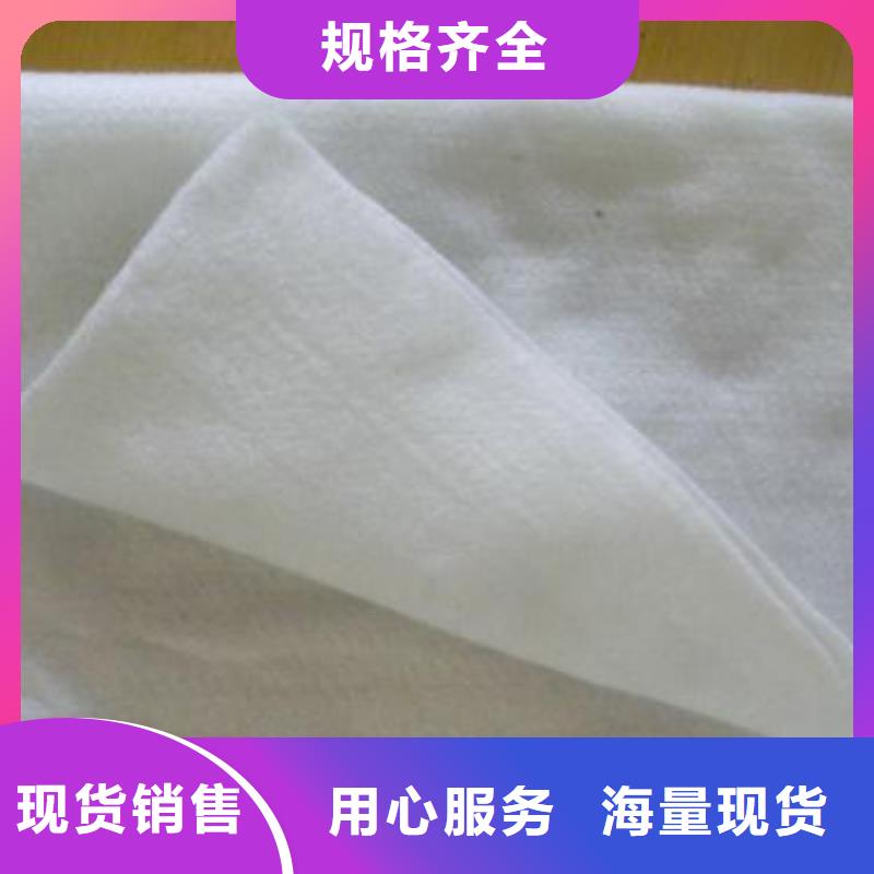 土工布滌綸土工格柵量大從優(yōu)