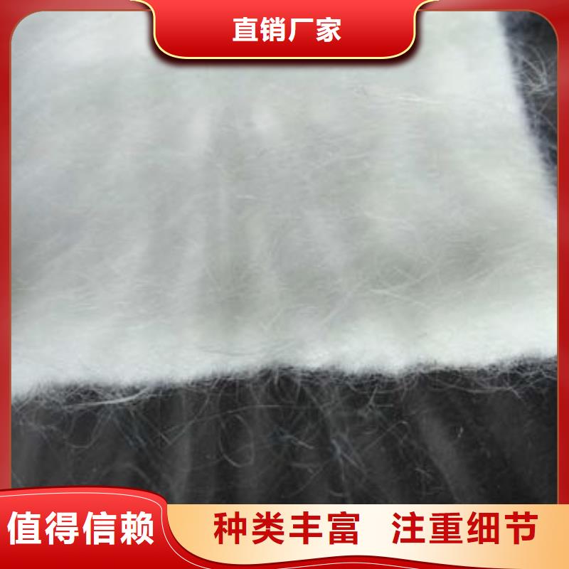 土工布_防水土工布真材實(shí)料