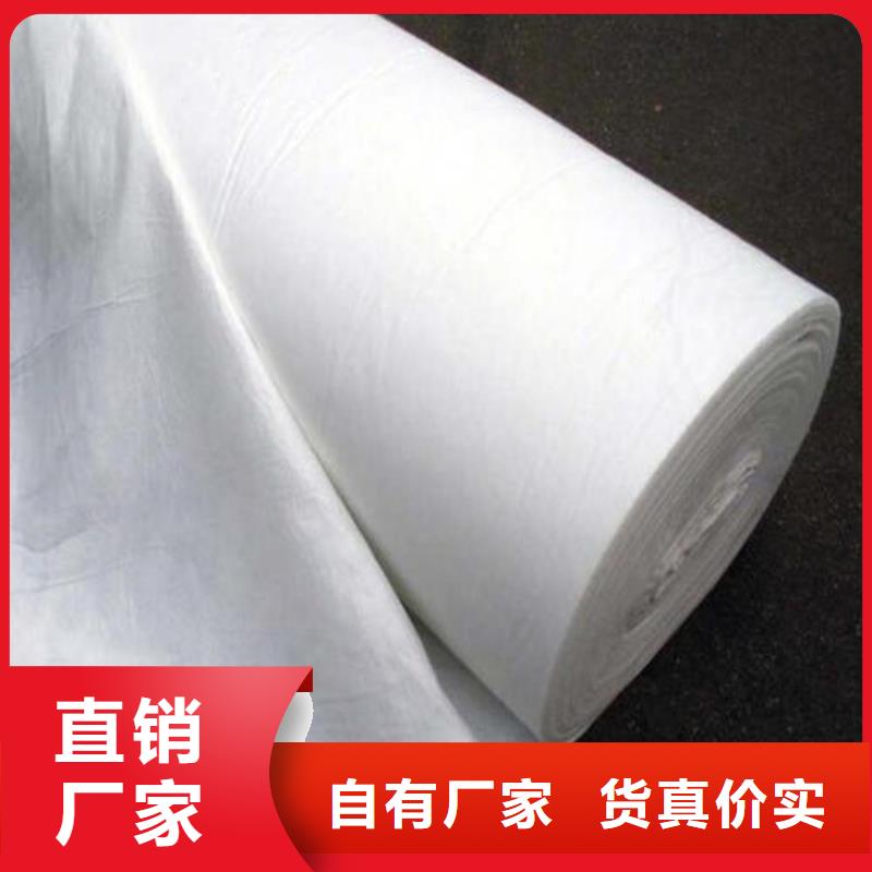 覆蓋防生長絲土工布規(guī)格型號齊全--可定制