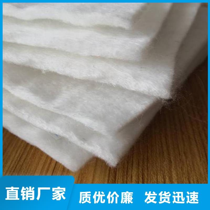 土工布滌綸土工格柵量大從優(yōu)
