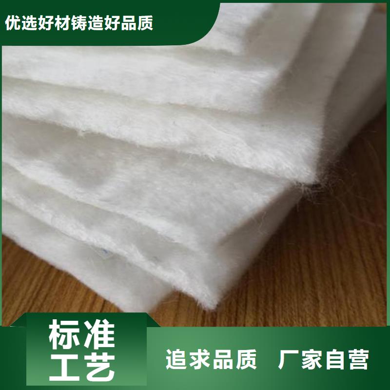 土工布三維土工網(wǎng)墊源頭廠家供應(yīng)