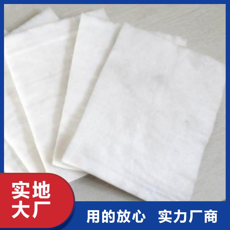 土工布滌綸土工格柵量大從優(yōu)