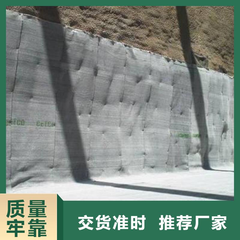 膨润土防水毯涤纶土工格栅免费安装