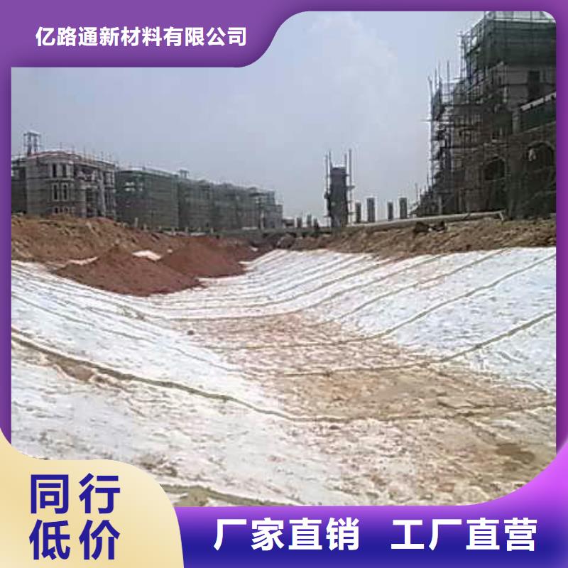膨潤土防水毯三維土工網(wǎng)墊實(shí)體廠家支持定制