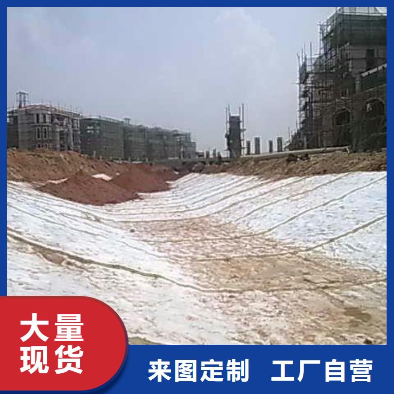 膨润土防水毯涤纶土工格栅免费安装
