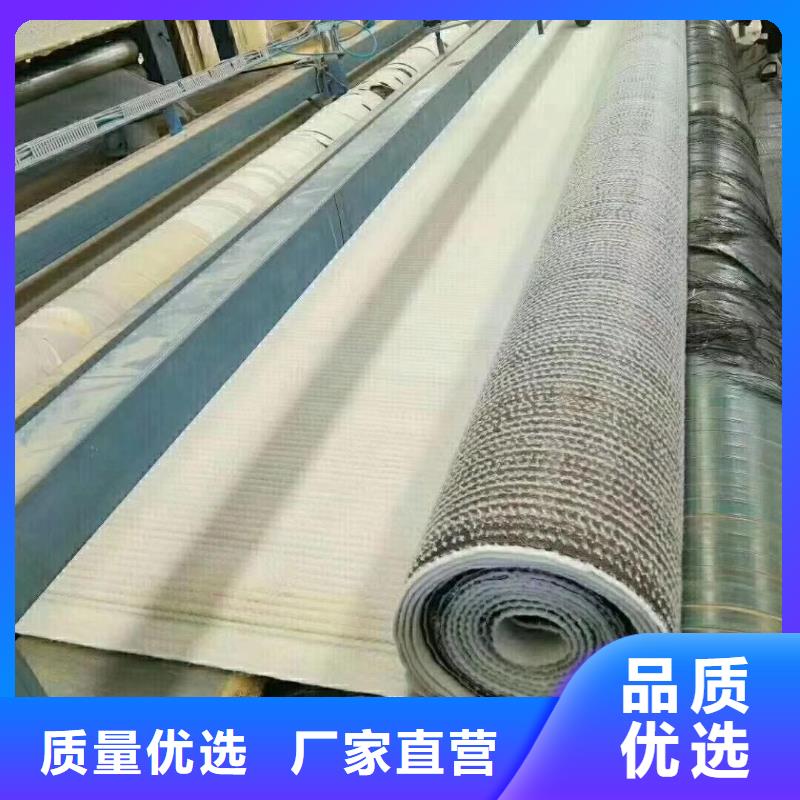膨潤土防水毯-無紡布用心做好細(xì)節(jié)