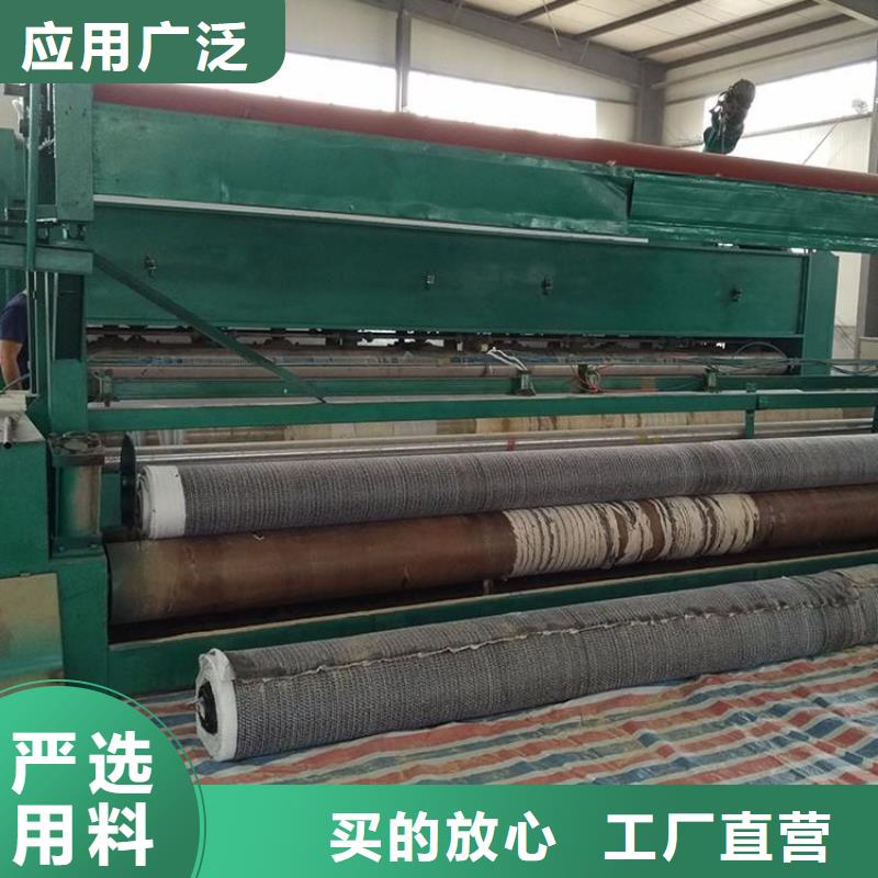 膨润土防水毯涤纶土工格栅免费安装