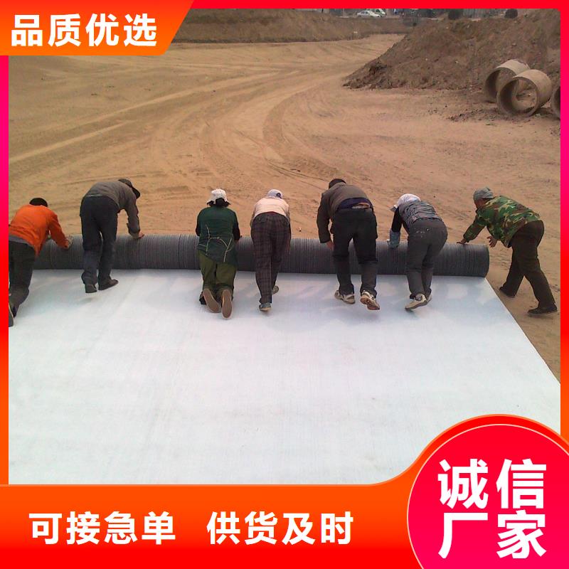 GCL鈉基膨潤土防水毯實(shí)力廠家/現(xiàn)貨供應(yīng)