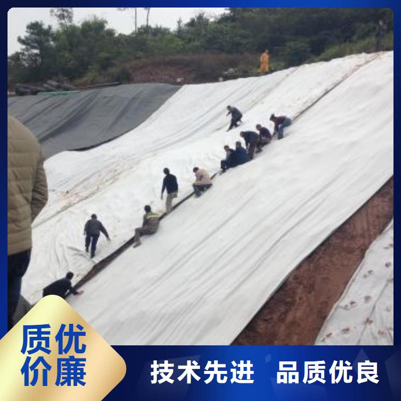 膨潤土防水毯,防水毯多種工藝