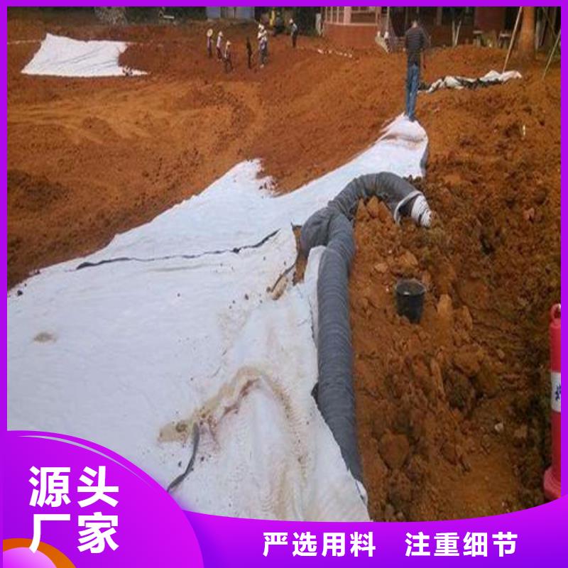 膨潤土防水毯三維土工網(wǎng)墊實(shí)體廠家支持定制