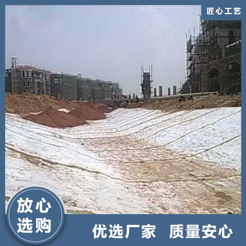膨润土防水毯涤纶土工格栅免费安装